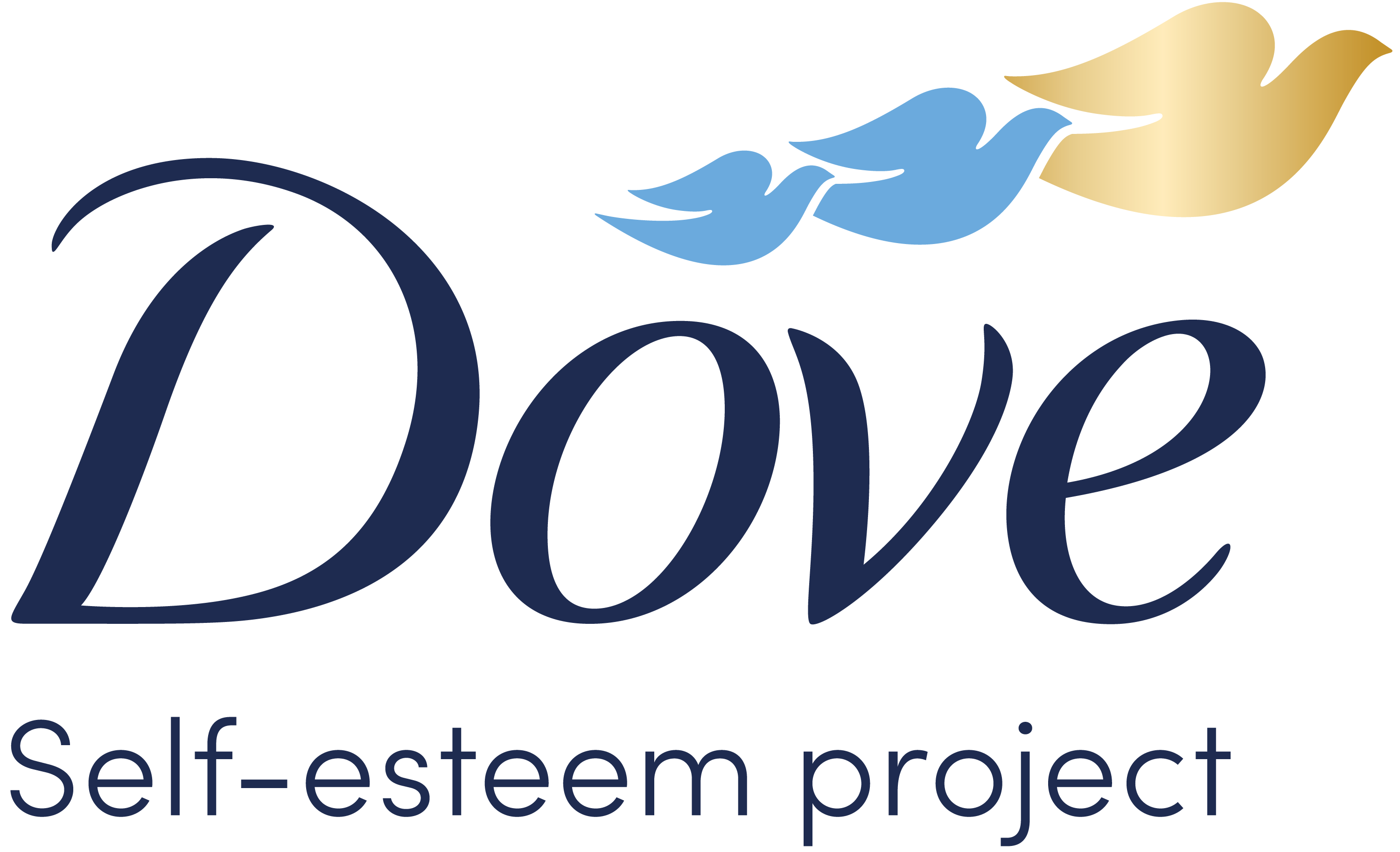 DSEP Logo 2021